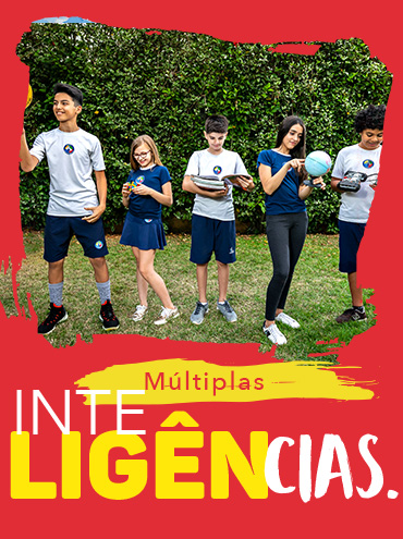 Múltiplas Inteligências.